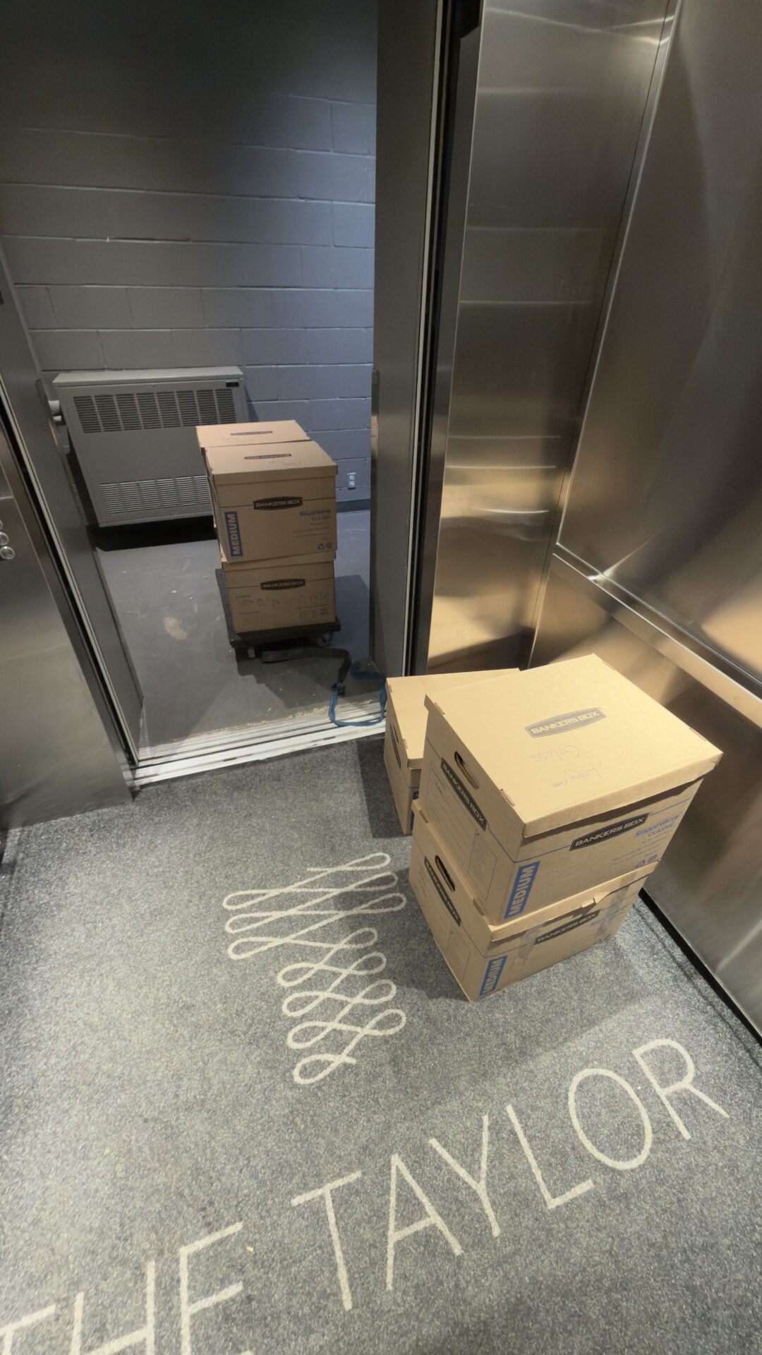 Ecoway Movers Belleville professional packing fragile and specialty items with bubble wrap and dish pack boxes