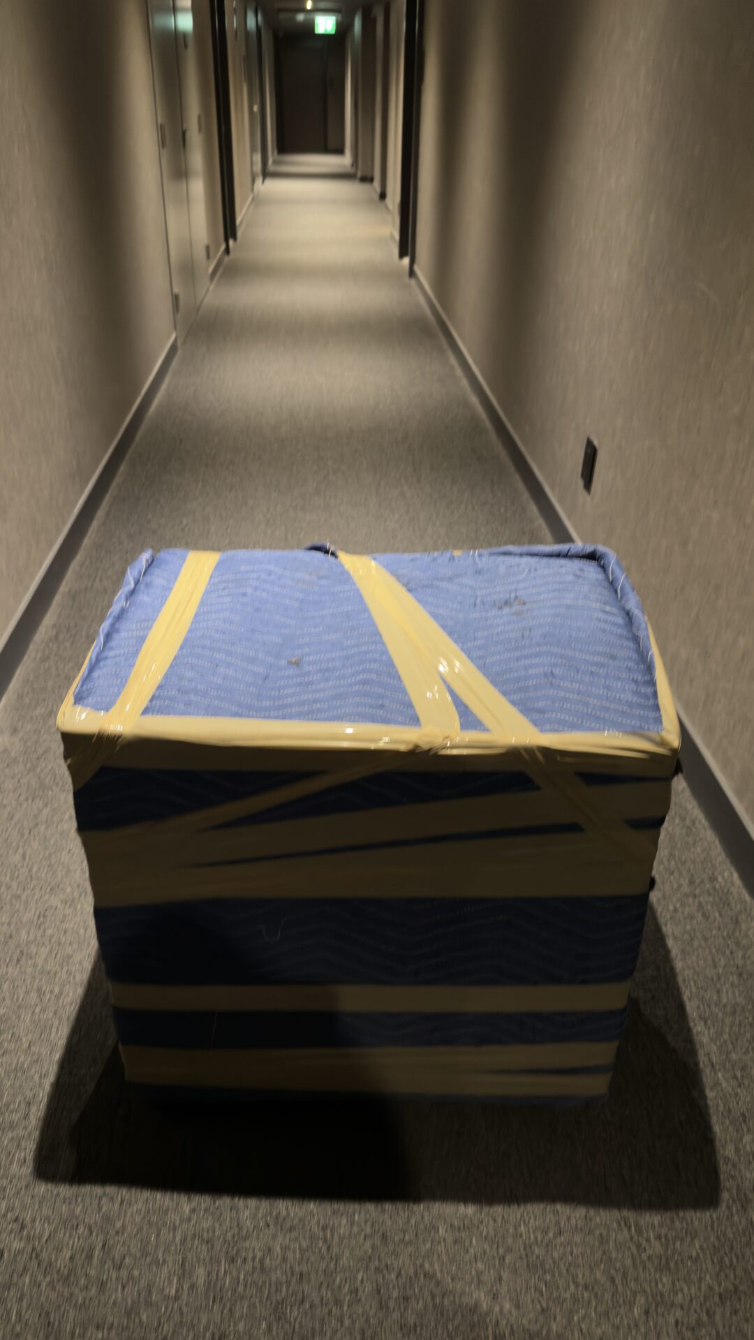 Ecoway Movers Winnipeg MB secure packing protocol applied to fragile items during a Winnipeg home relocation